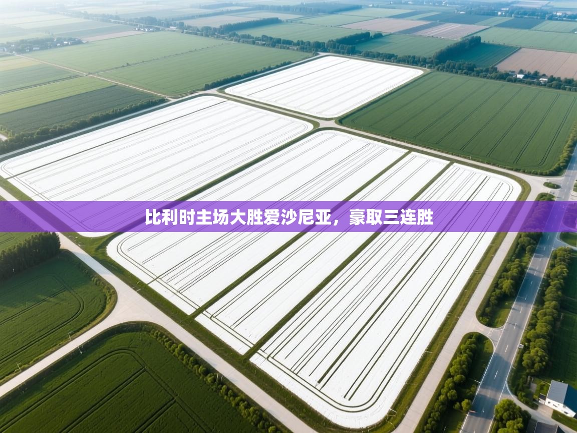 比利时主场大胜爱沙尼亚,豪取三连胜 第2张