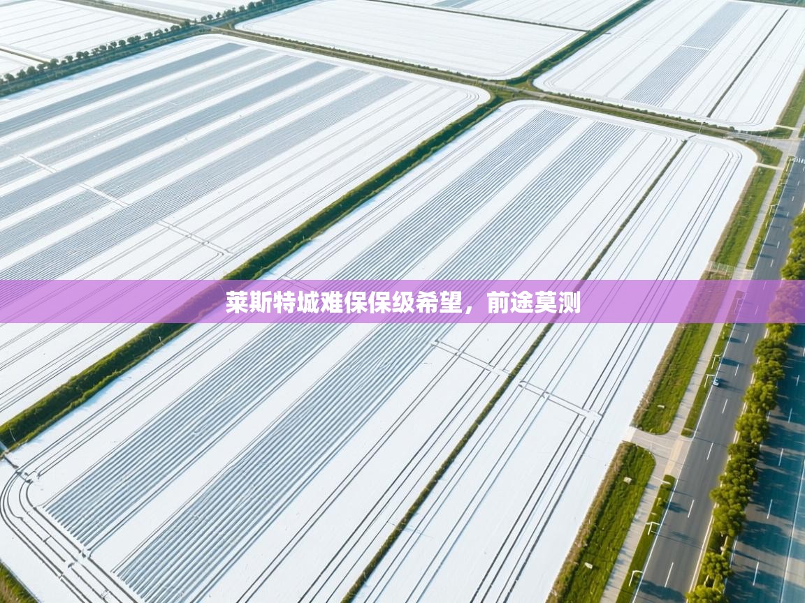 莱斯特城难保保级希望，前途莫测