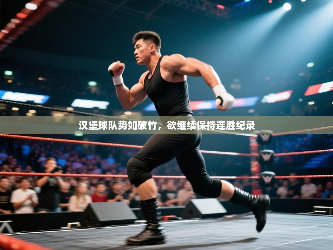 汉堡球队势如破竹,欲继续保持连胜纪录 第2张