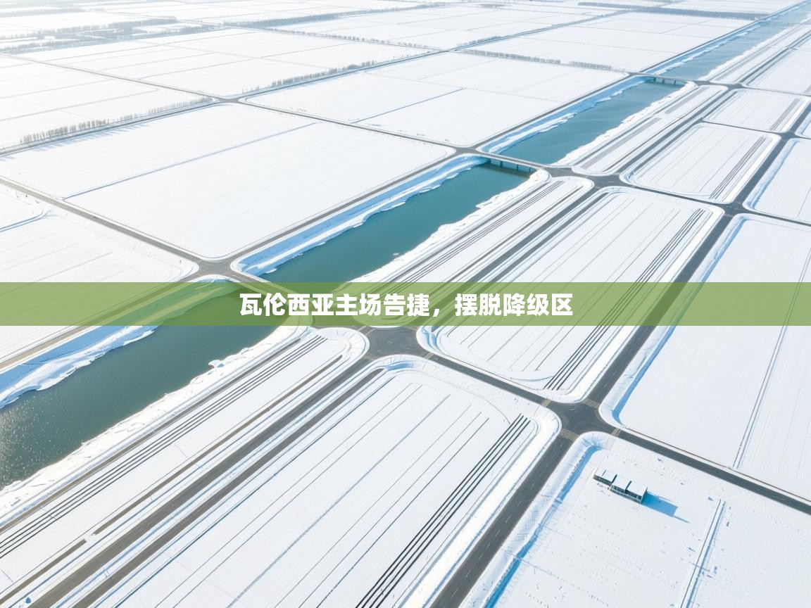 瓦伦西亚主场告捷,摆脱降级区 第1张