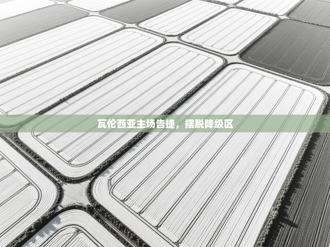 瓦伦西亚主场告捷,摆脱降级区 第2张