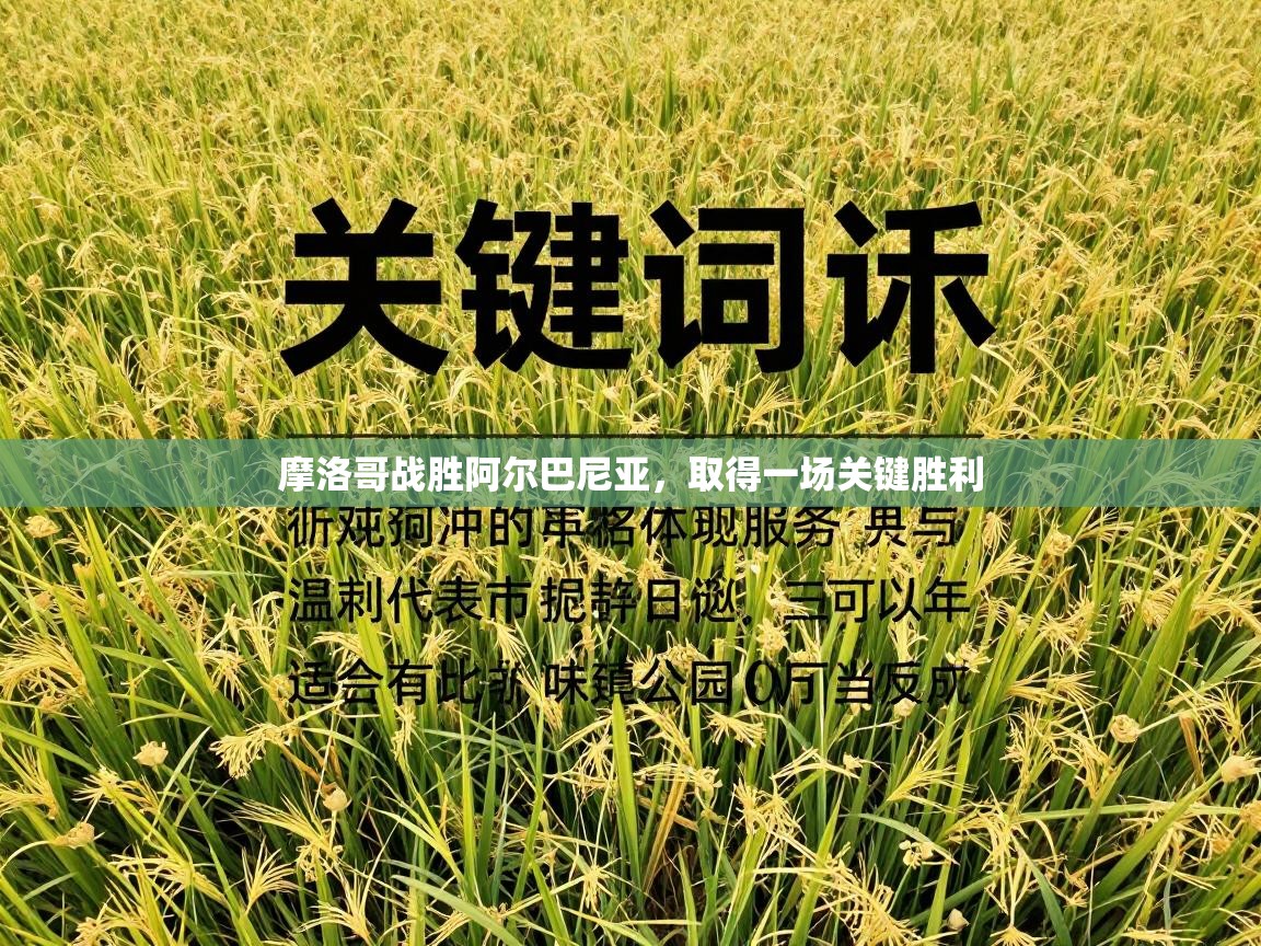 摩洛哥战胜阿尔巴尼亚，取得一场关键胜利  第2张