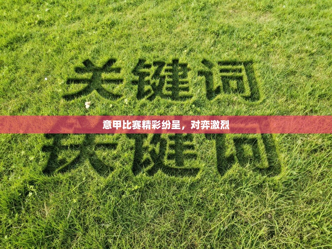 意甲比赛精彩纷呈,对弈激烈 第1张
